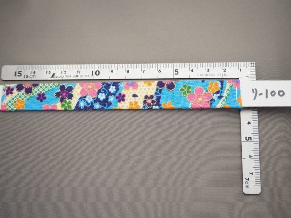 画像2: カラー100 (2)