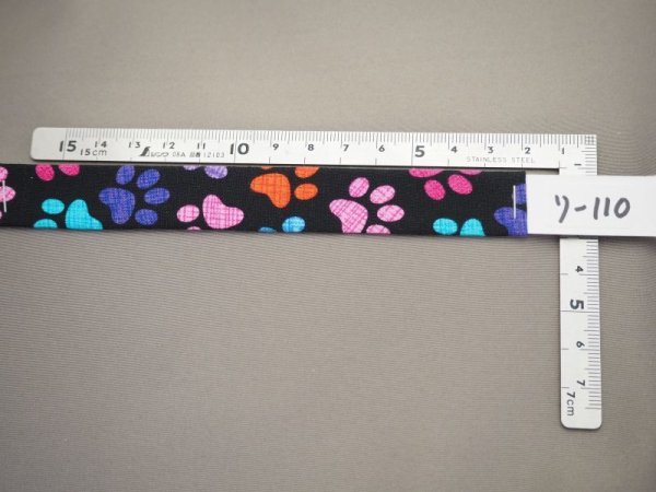 画像2: カラー110 (2)