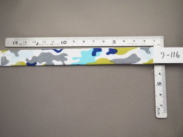 画像2: リード116 (2)