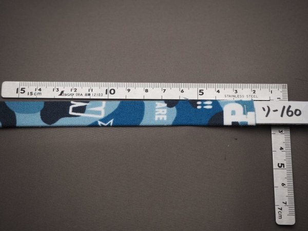 画像2: カラー160 (2)