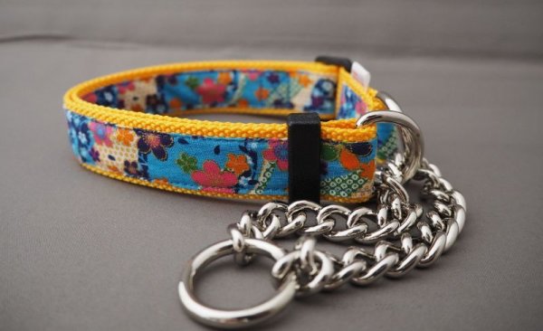 画像7: カラー100 (7)