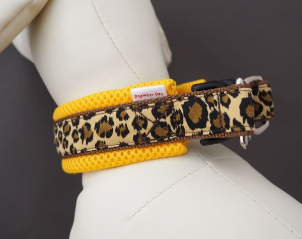 画像5: リード157 (5)