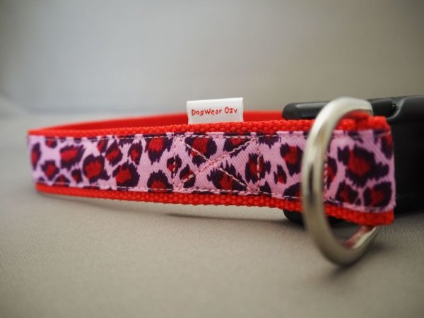 画像5: リード104 (5)