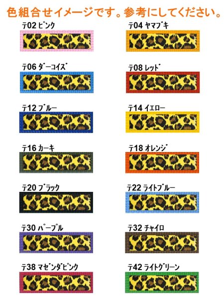 画像3: カラー079 (3)