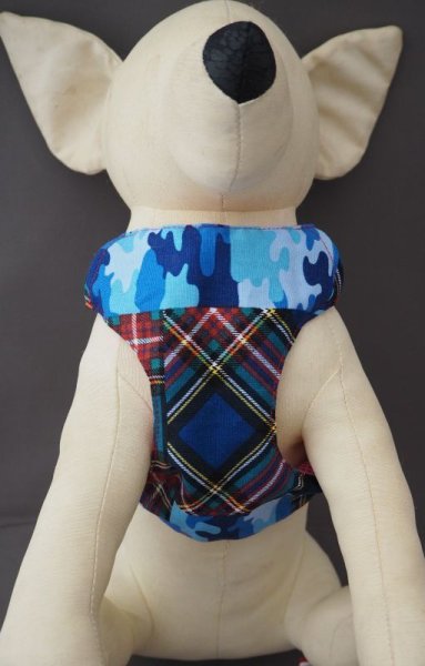 画像7: リード092 (7)