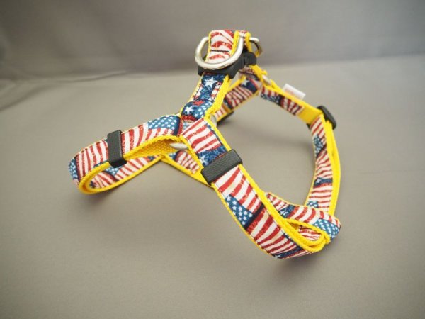 画像6: リード121 (6)