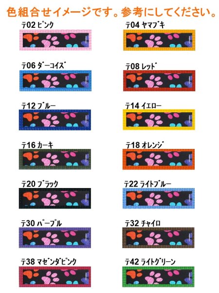 画像3: カラー110 (3)