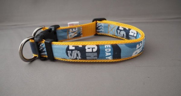 画像6: カラー160 (6)