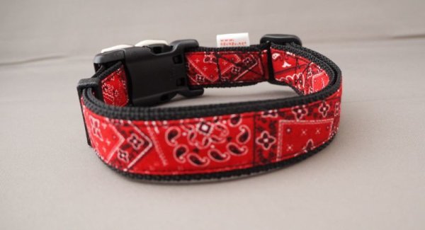 画像6: リード134 (6)