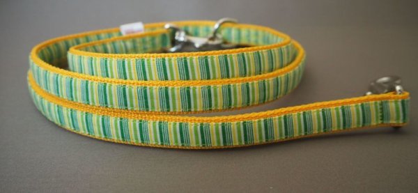 画像4: カラー005 (4)